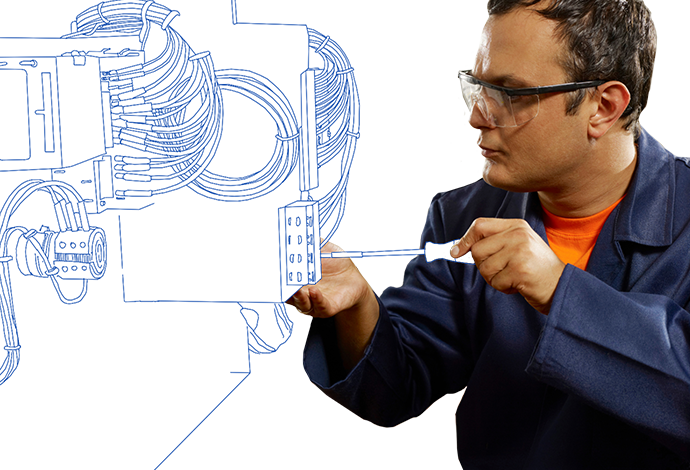Learning & Development